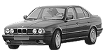 BMW E34 P254D Fault Code
