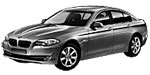 BMW F10 P254D Fault Code